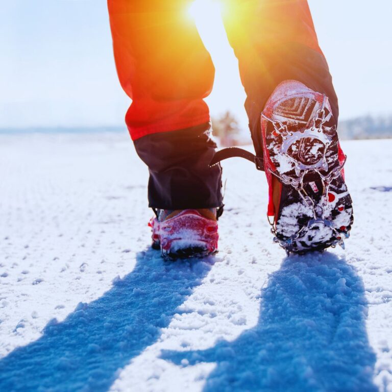 Dog Shoes for Snow